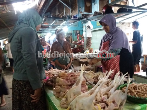 Sempat Menurun, Omzet Penjual Daging Ayam Kembali Meningkat